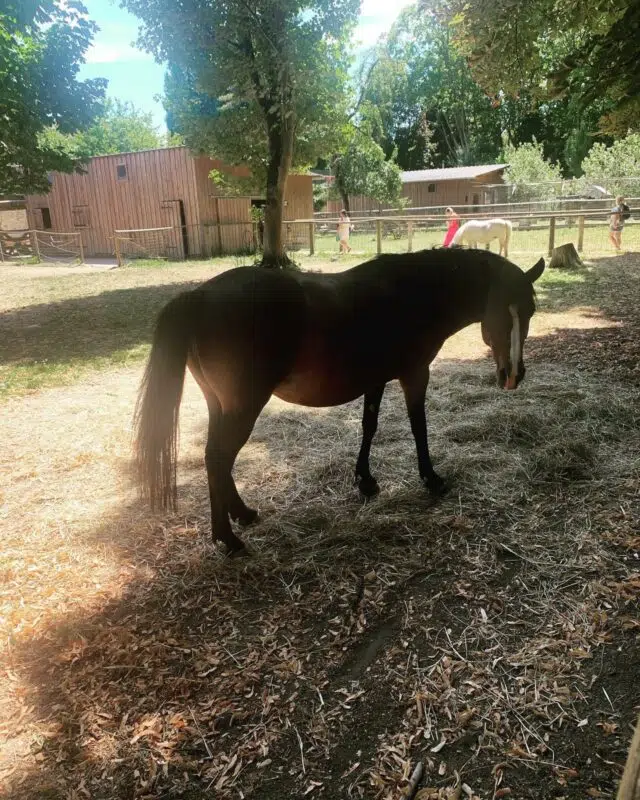 activité gratuite enfants paris