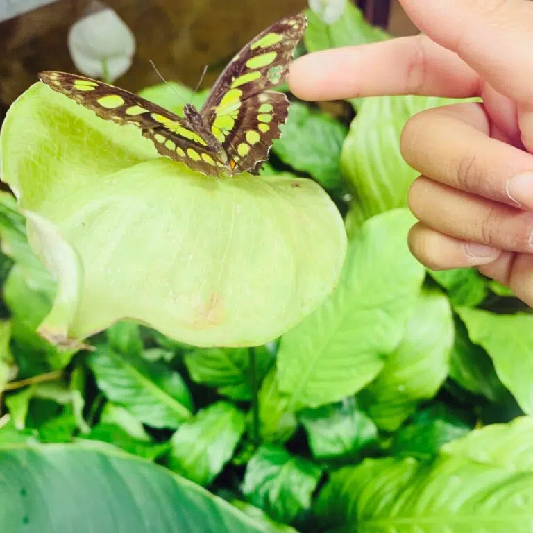 La Cité des Sciences et de l’Industrie: sortie en famille