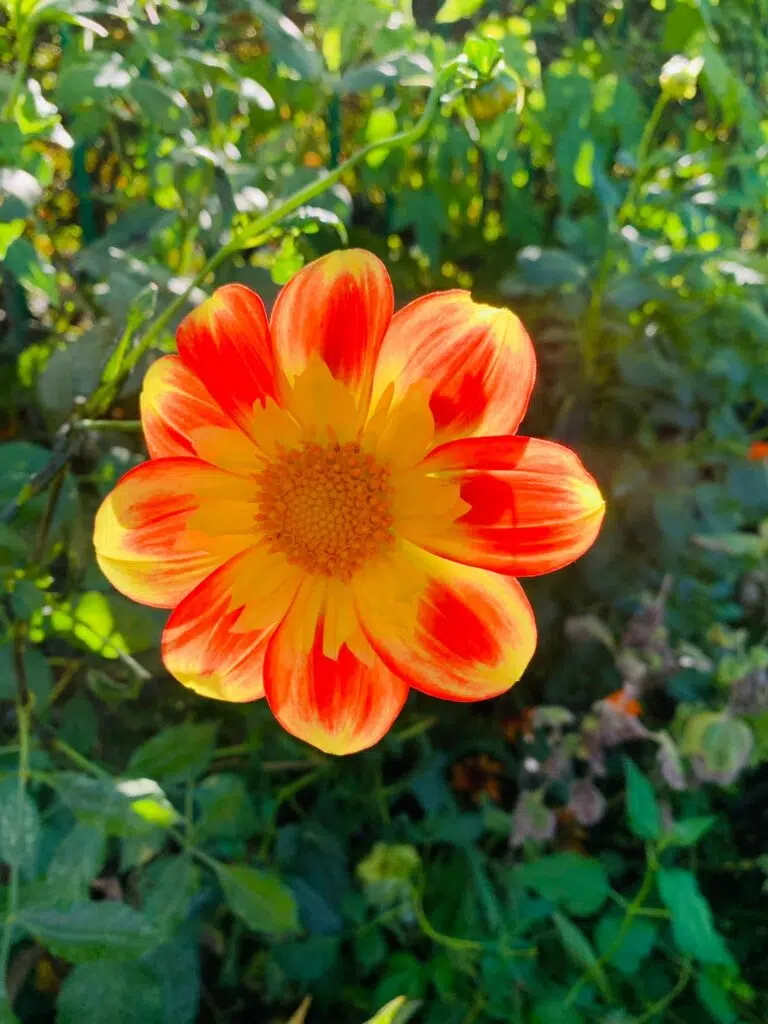 Comme un air de fin de vacances