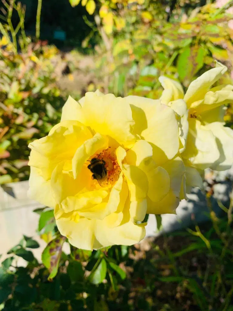 Ma tenue from Tendance Retro