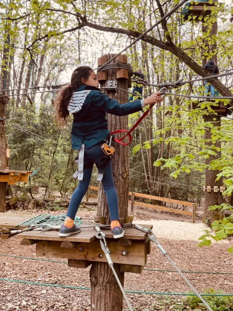 Aventure Land: un parc haut perché à faire pendant les vacances