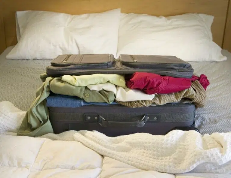 Les punaises de lit, solutions pour s’en débarrasser