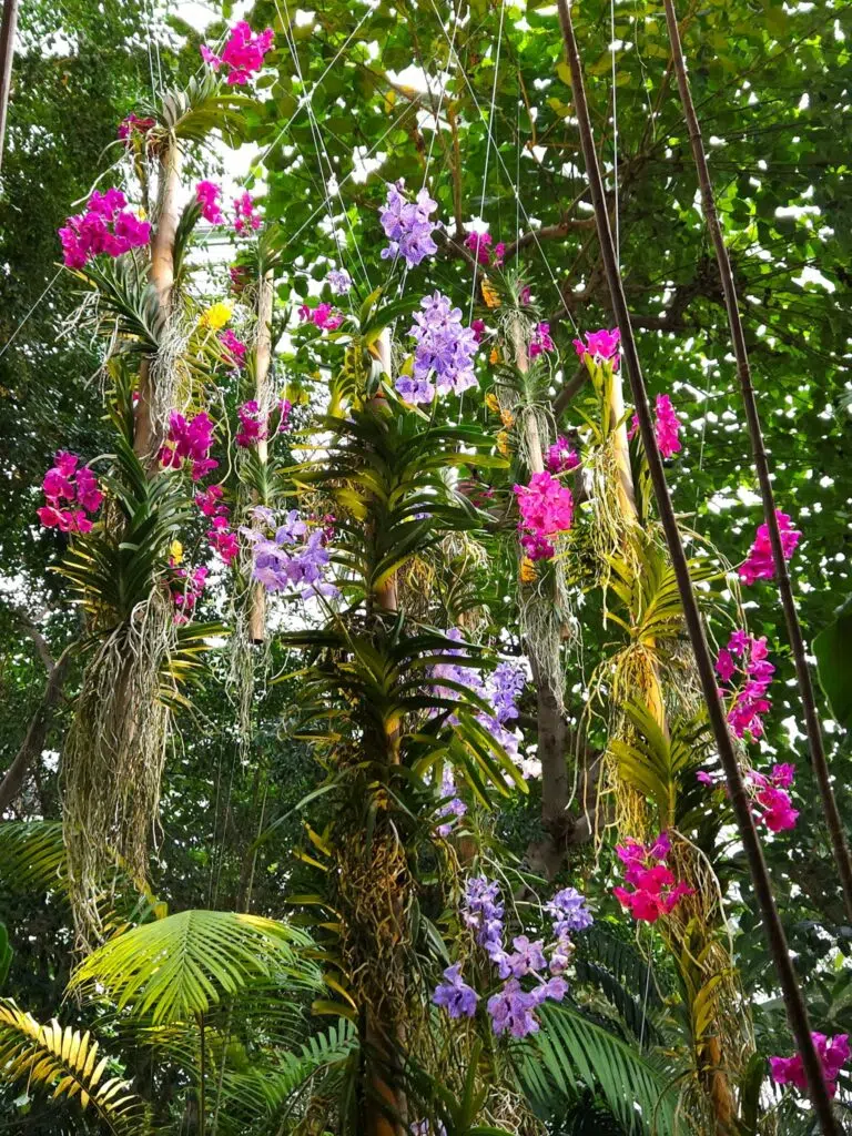 Une journée à moins de 30€ à Paris – Brunch gourmand, musée gratuit et pause café cosy
