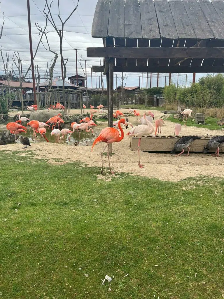 Parrot World : le parc animalier à 30 minutes de Paris