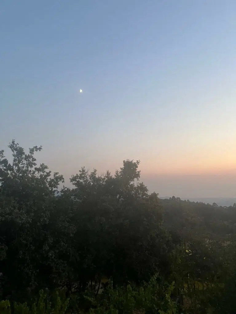 Partir en vacances en famille ou entre amis : le grand huit des émotions