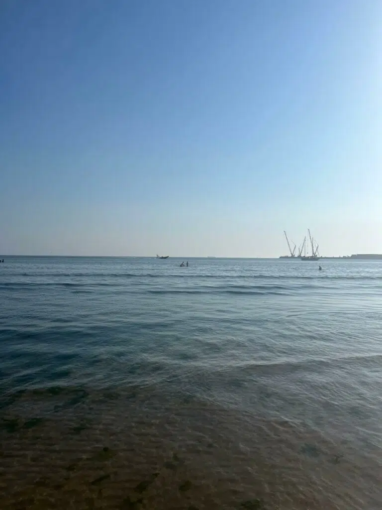 Portugal: que faire à Porto, Aveiro?